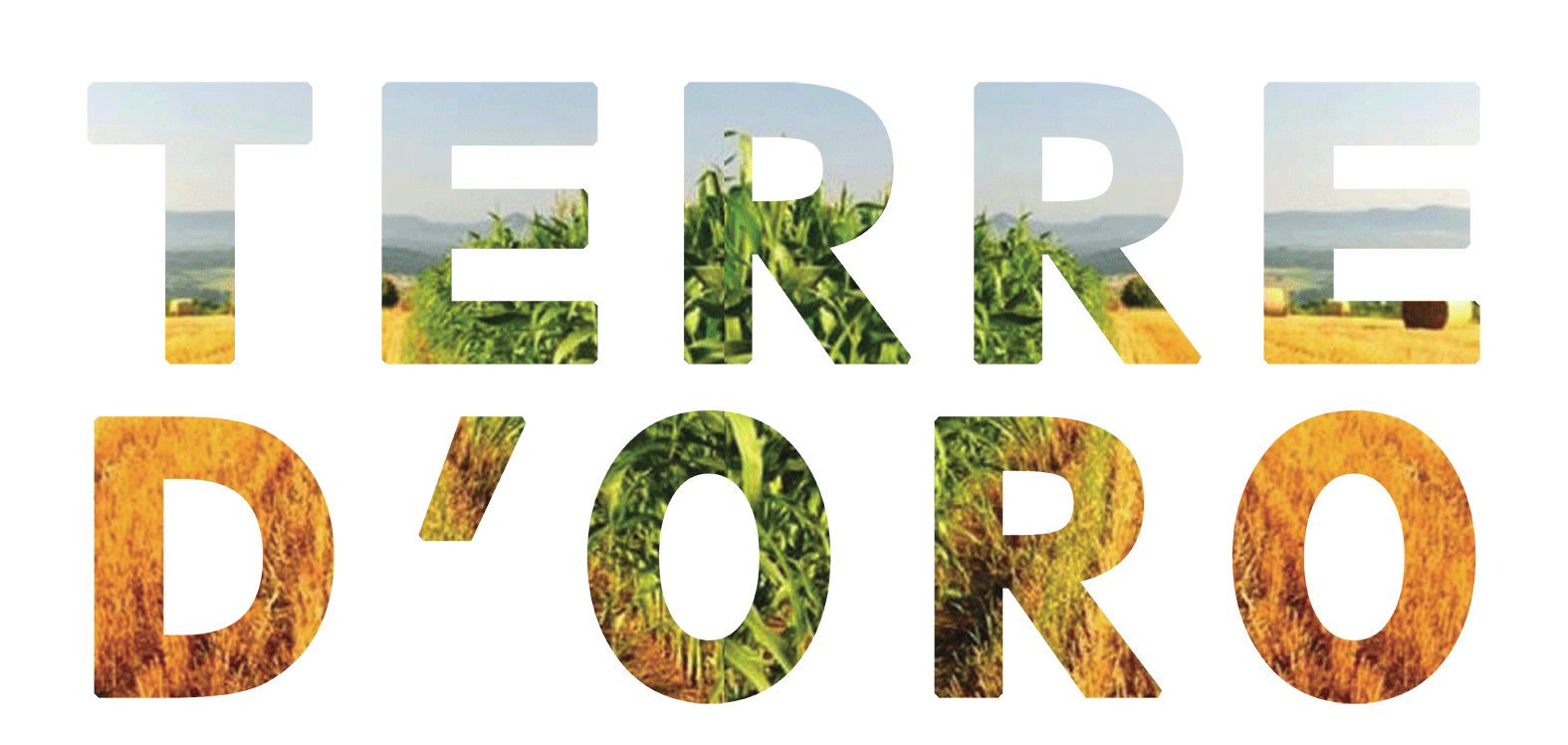 TERRE D'ORO